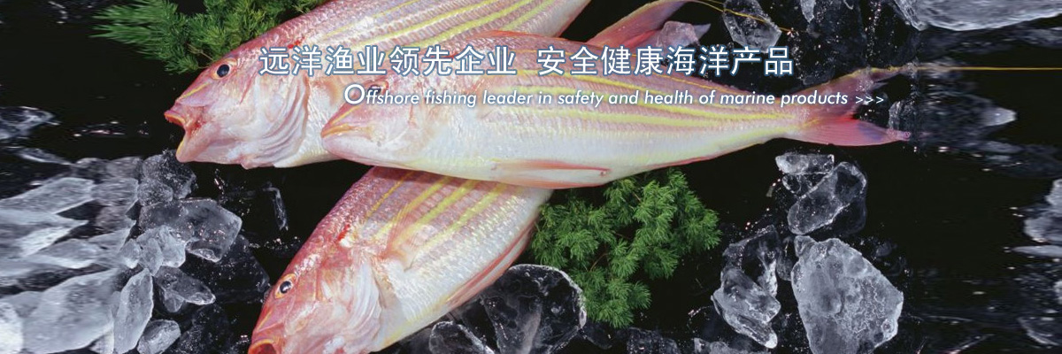 遠洋漁業領先企業 安全健康海洋產品